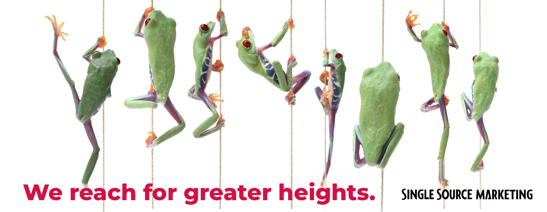 Great Heights